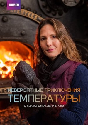 Image Невероятные приключения температуры