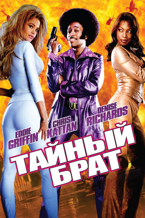 Тайный брат (2002)