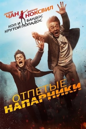 Poster Отпетые напарники 2016