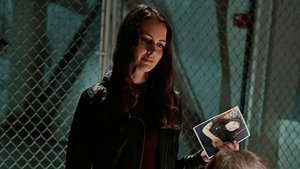 Vigilados, Person of Interest Season 4 Episode 12