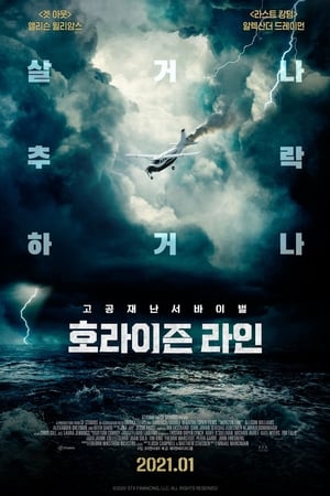 Poster 호라이즌 라인 2020