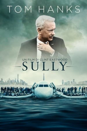 Poster Sully 2016