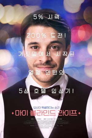 Poster 마이 블라인드 라이프 2017