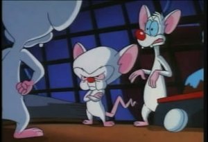 Pinky & der Brain: 2×15