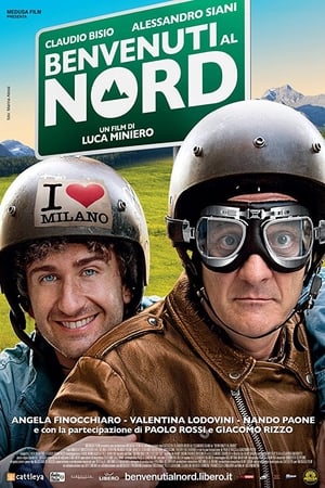 Poster Bine ați venit la nord 2012