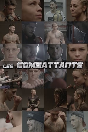 Image Les combattants : la relève