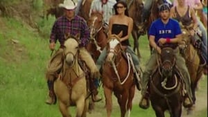 Filthy Rich: Cattle Drive You and I Should Stay Away…