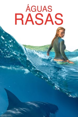 Assistir Águas Rasas Online Grátis