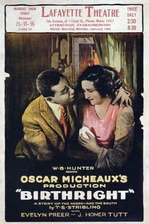Poster Birthright 1924