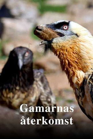 Return of the Vultures