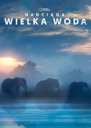 Poster Nadciąga wielka woda 2018