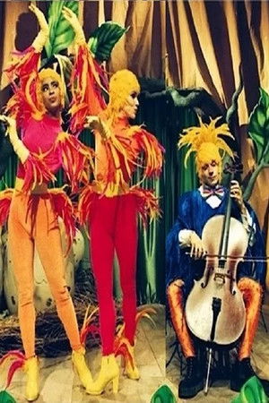 Passarinho, que som é esse?