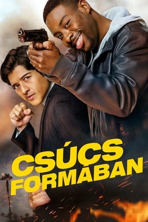 Image Csúcsformában
