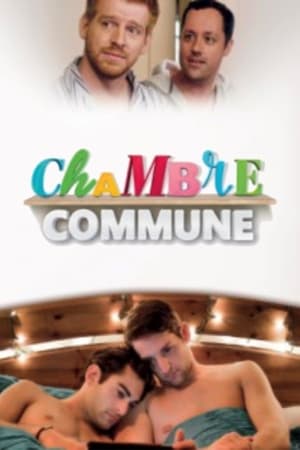 Poster Chambre commune 2016