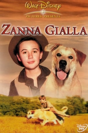 Poster Zanna gialla 1957
