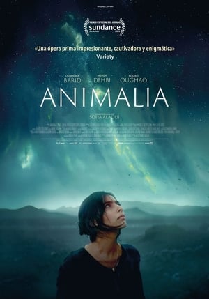Poster Animalia 2023