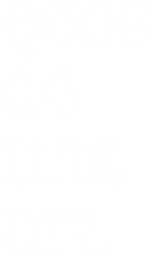 Echo In The Canyon: Uma Celebração à Música — Logos 11