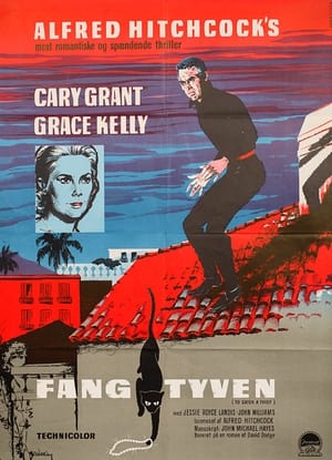 Poster Fang tyven 1955