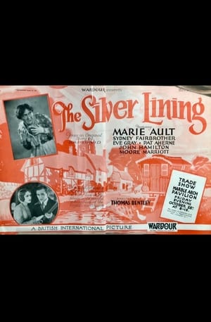 The Silver Lining poster