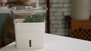 Ça vaut le coût: 9×19 {year} Online En Netflix