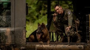 Ambush ( 2023 )