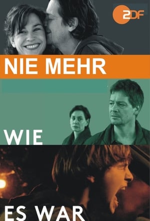 Nie mehr wie es war poster