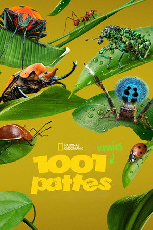 A Real Bug's Life 44