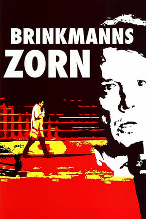 Image Brinkmanns Zorn