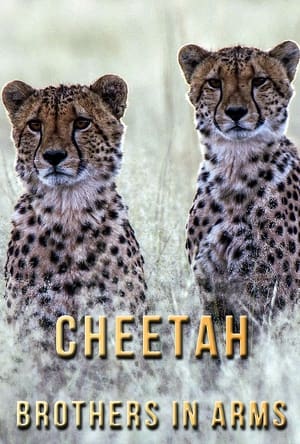 Poster Cheetah Brothers in Arms (2020)