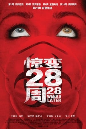 惊变28周 (2007)