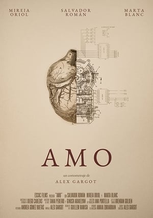 Poster Amo (2016)