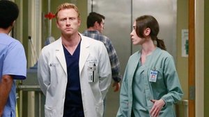 Grey’s Anatomy 11 x Episodio 20