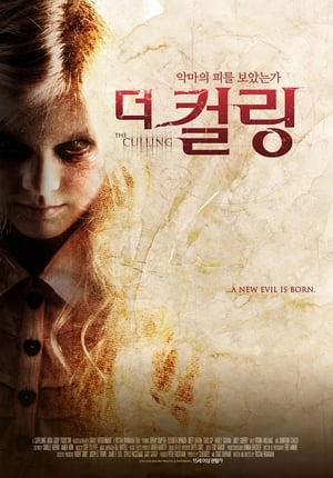 Image 더 컬링