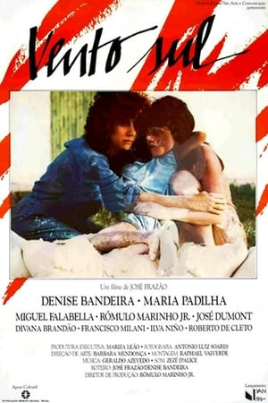 Poster Vento Sul 1986