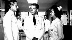 Ver El Señor Doctor (1965) online