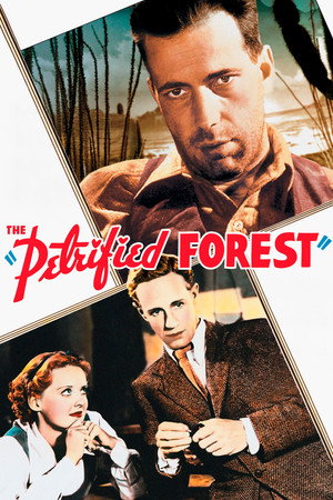 Постер фильма «Окаменевший лес (1936)» — (15 из 20)