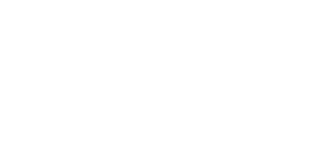 Kidnap