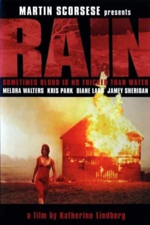Poster Rain 2001
