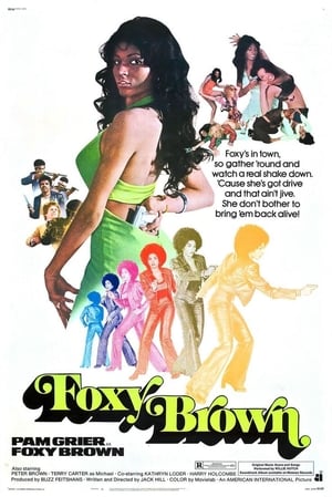 Poster Foxy Brown 1974