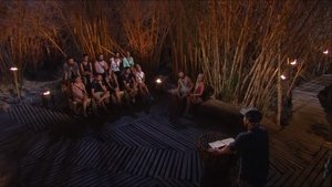 Episode 35