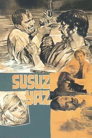 Poster L'estate arida 1963