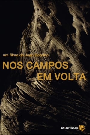 Poster Nos Campos em Volta (2015)