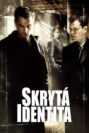 Poster Skrytá identita 2006