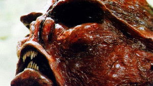 Kill Them and Eat Them