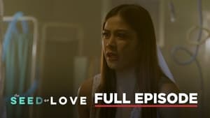 The Seed of Love: Season 1 Full Episode 79