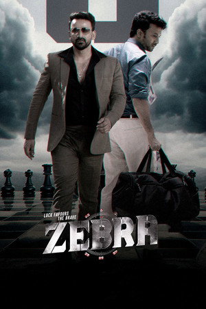 Zebra 21