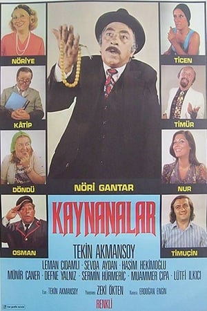 Kaynanalar poster