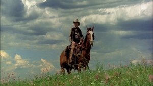 Open Range