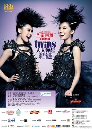 Twins 2010 Concert poster