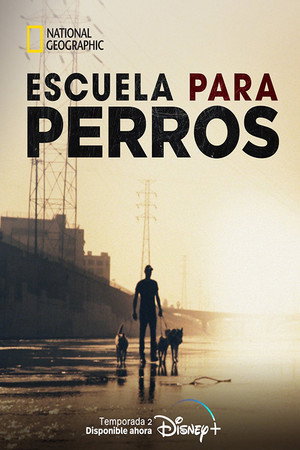 Escuela para perros